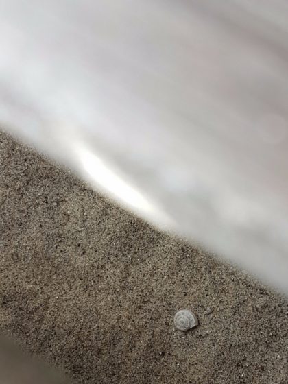 aus dem Herzen leben