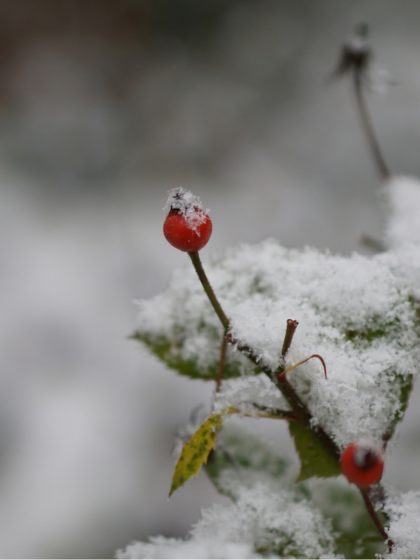 Reizvoll - dieses Leben