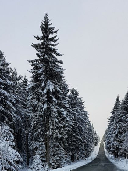 Wie werde ich satt? Es ist ein Weg...
