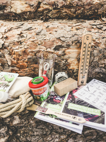 Das Baumentdecker-Set: Seil, Thermometer, Pinsel, Becherlupe, Kartenset uns noch viel mehr.